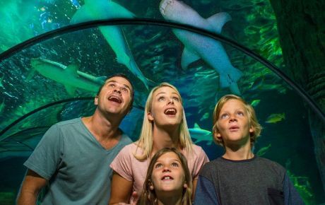 Kelly Tarlton's Aquarium